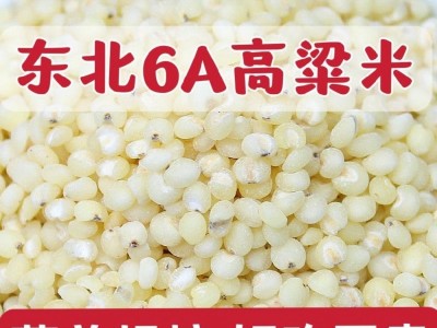 高粱米新米批发东北正宗纯白高粱米